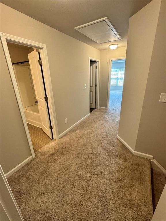 corridor featuring baseboards, carpet, and attic access