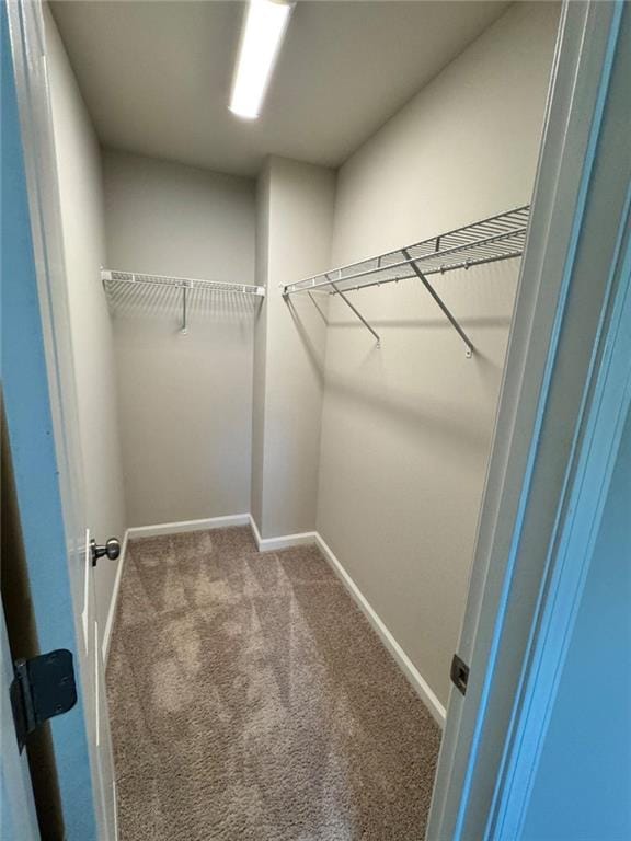 walk in closet with carpet