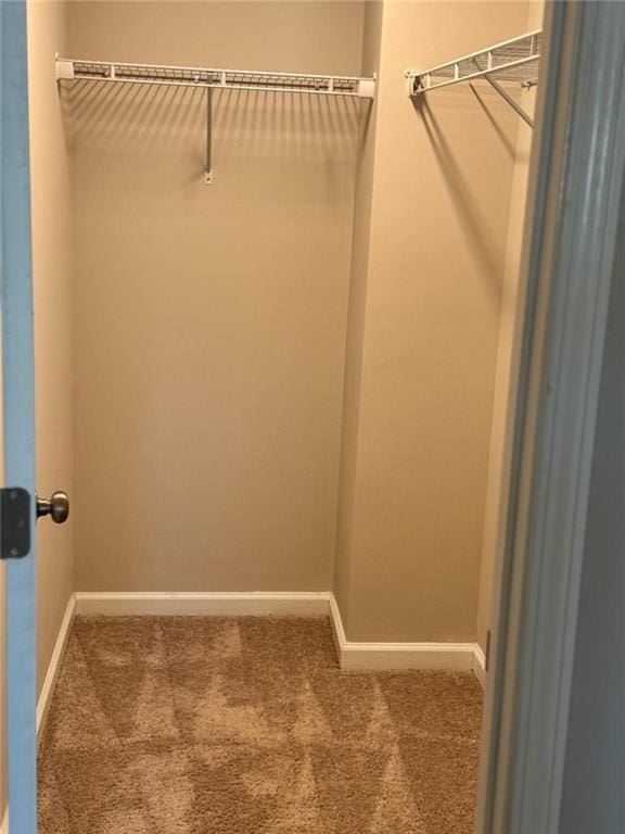 walk in closet with carpet flooring