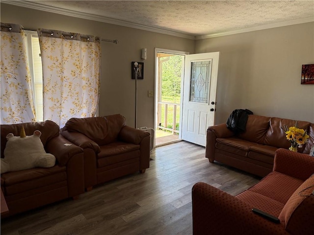 703 Jack Sharp Rd, Colbert, GA 30628 - living room with wood finished floors, a textured ceiling, and crown molding