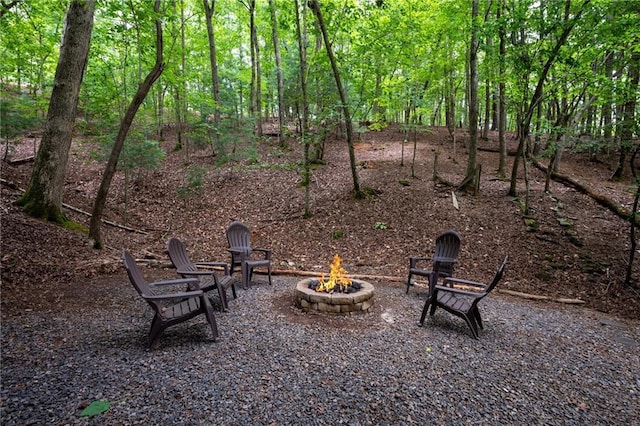 view of yard with an outdoor fire pit