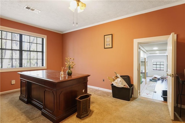 carpeted office space featuring crown molding, a textured ceiling, and ceiling fan