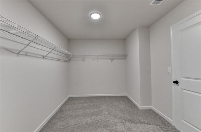 walk in closet featuring carpet flooring