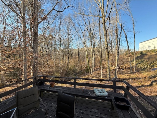 3415 Spring Valley Blvd, Atlanta, GA 30349 - view of deck
