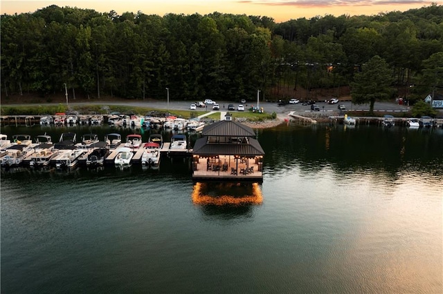 dock with a water view and a wooded view