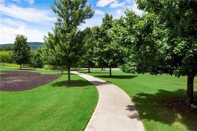 view of community featuring a lawn