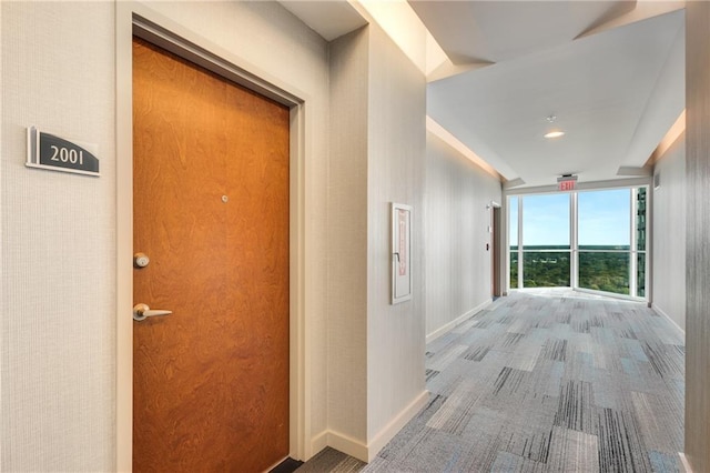 hallway with carpet floors, baseboards, and a wall of windows