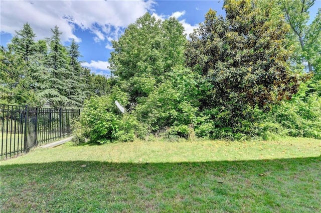 12095 Cameron Dr, Duluth, GA 30097 - view of yard