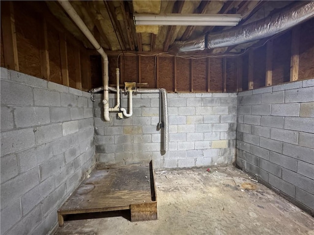 134 Summer Lake Dr, Dallas, GA 30157 - view of unfinished below grade area