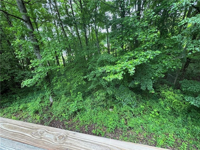 134 Summer Lake Dr, Dallas, GA 30157 - view of tree filled area