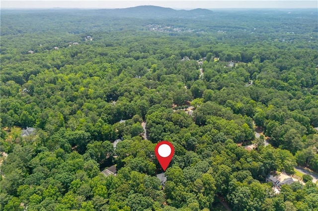 210 Hunters Vw, Roswell, GA 30075 - bird's eye view of a forest