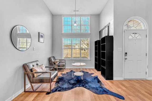 foyer with a towering ceiling and wood-type flooring