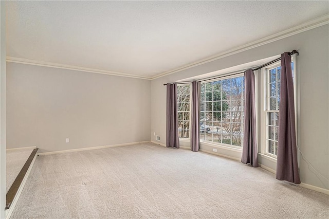 carpeted empty room featuring ornamental molding and a textured ceiling