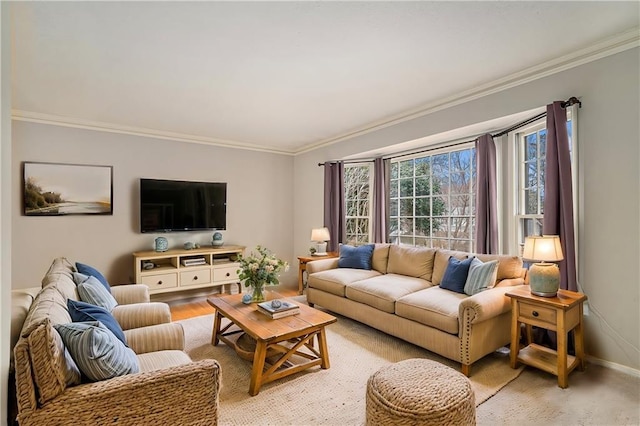 living room featuring crown molding