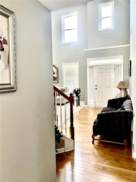 foyer entrance featuring a towering ceiling, hardwood / wood-style floors, and a healthy amount of sunlight