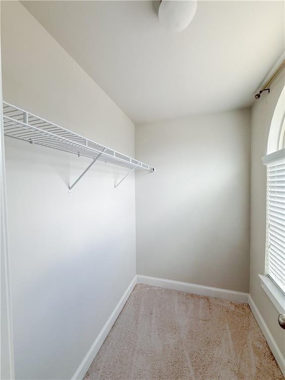 spacious closet featuring light colored carpet