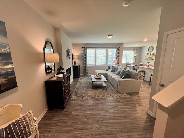 living room with dark hardwood / wood-style floors