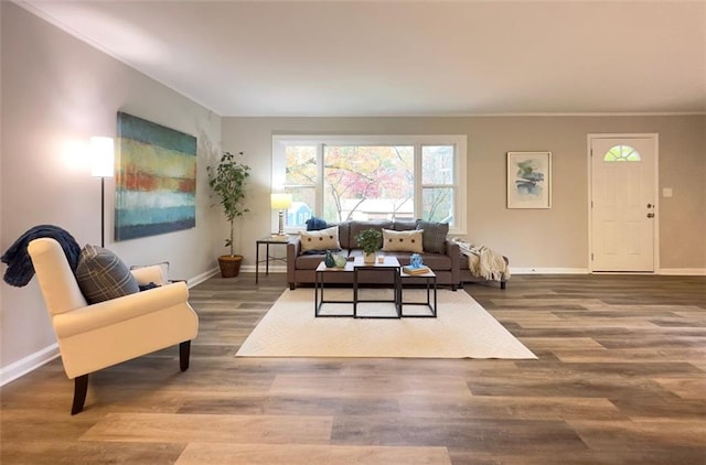 living room featuring hardwood / wood-style floors