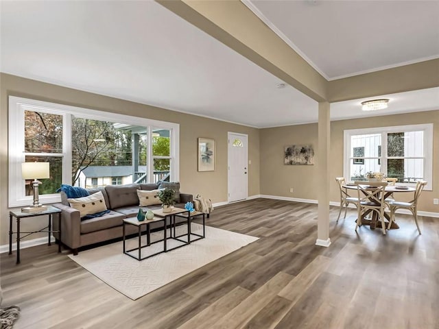 living room with hardwood / wood-style flooring, a wealth of natural light, and crown molding