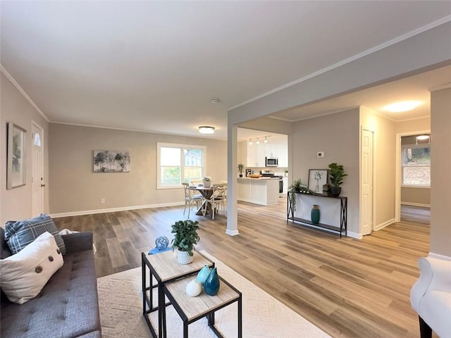 living room featuring light hardwood / wood-style floors and crown molding