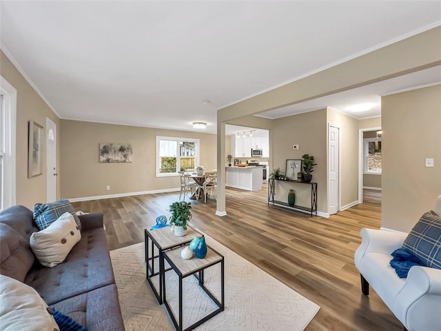 living room featuring ornamental molding and hardwood / wood-style floors