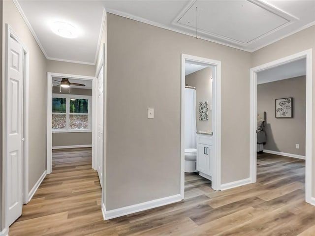 hall with light wood-type flooring and crown molding