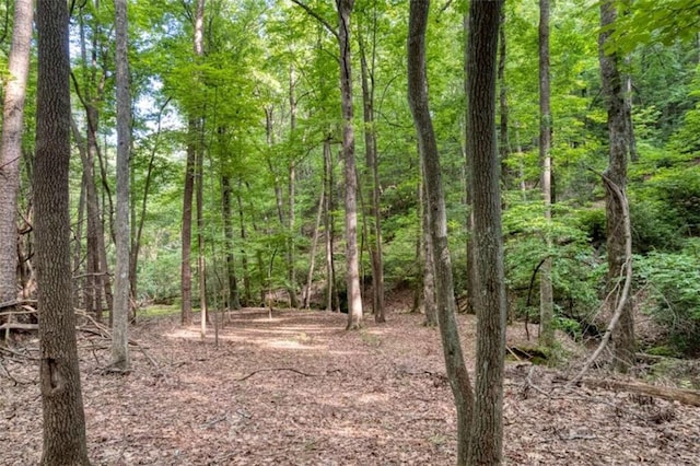 90 Cardinal Cv, Big Canoe, GA 30143