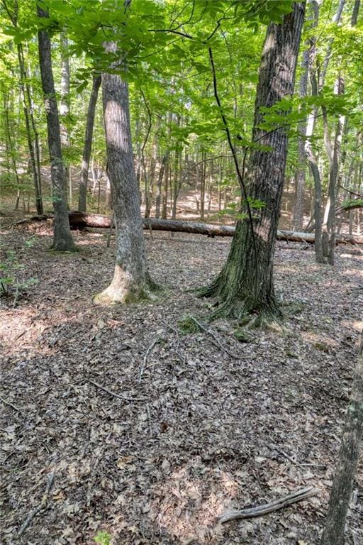 90 Cardinal Cv, Big Canoe, GA 30143
