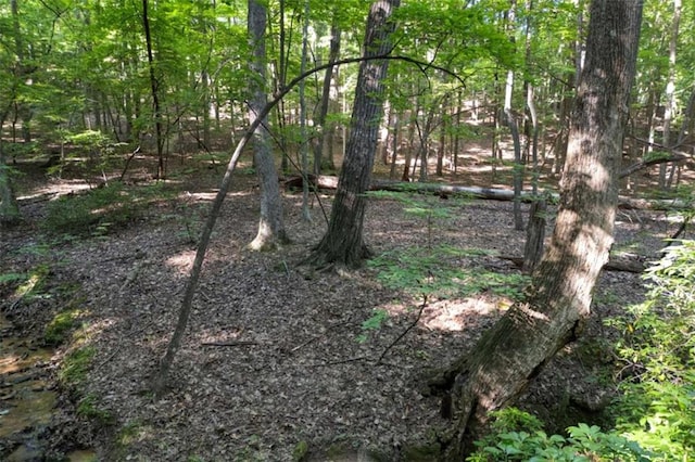 90 Cardinal Cv, Big Canoe, GA 30143