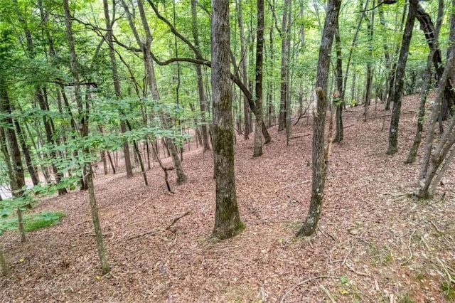 90 Cardinal Cv, Big Canoe, GA 30143