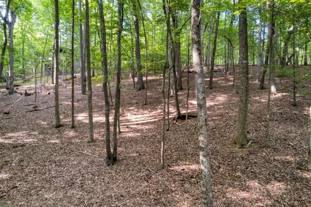 90 Cardinal Cv, Big Canoe, GA 30143