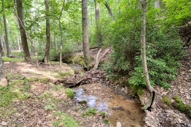90 Cardinal Cv, Big Canoe, GA 30143