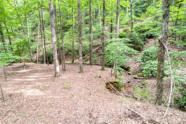 90 Cardinal Cv, Big Canoe, GA 30143