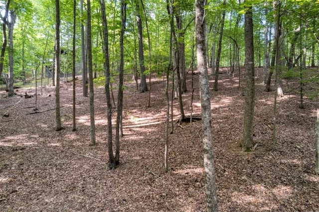 90 Cardinal Cv, Big Canoe, GA 30143