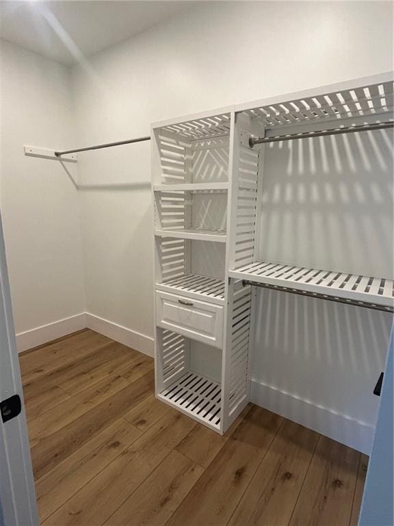 walk in closet with dark wood-style floors