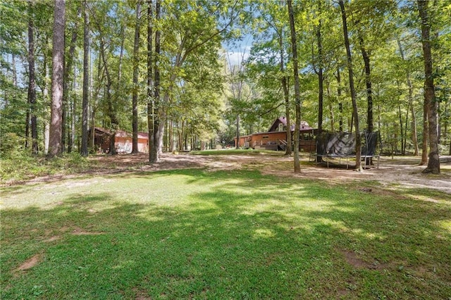 view of yard featuring a trampoline