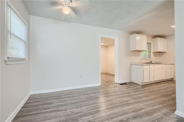 interior space with a healthy amount of sunlight, sink, a textured ceiling, and light wood-type flooring