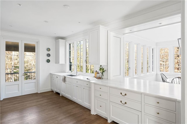 bathroom featuring wood-type flooring, a healthy amount of sunlight, vanity, and ornamental molding