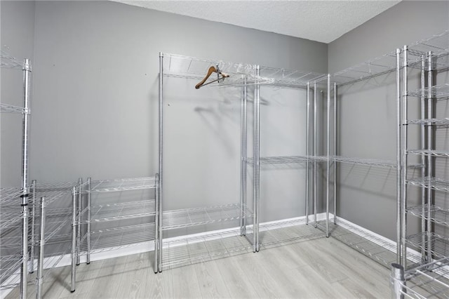 spacious closet featuring wood finished floors