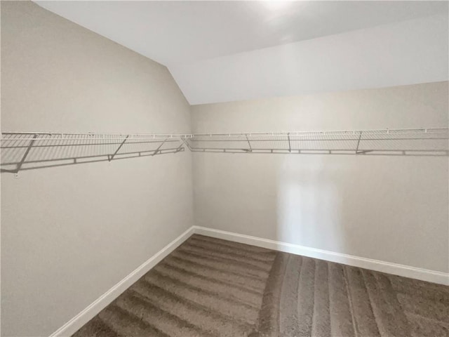 spacious closet with vaulted ceiling and wood finished floors