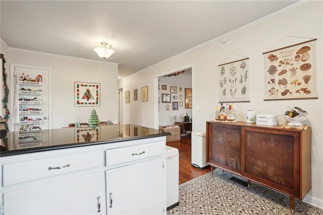 interior space featuring white cabinets, dark hardwood / wood-style floors, and ornamental molding