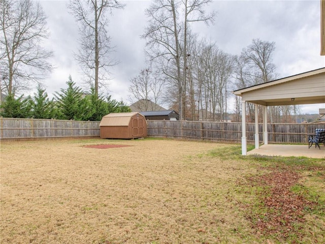 view of yard featuring a patio area and a storage unit