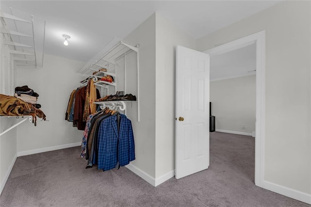 walk in closet featuring light colored carpet