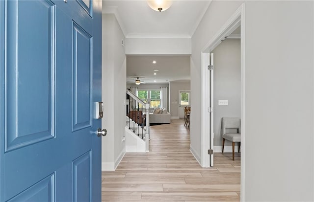 foyer featuring ceiling fan, ornamental molding, and light wood-type flooring