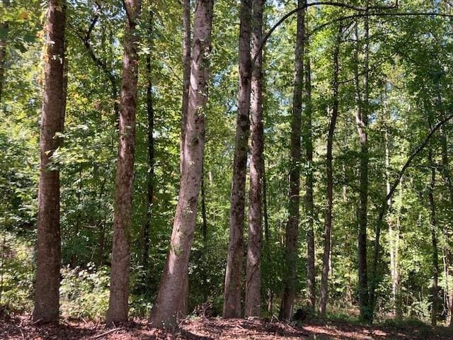 4007 Oak Harbour Ct, Gainesville GA, 30506 land for sale