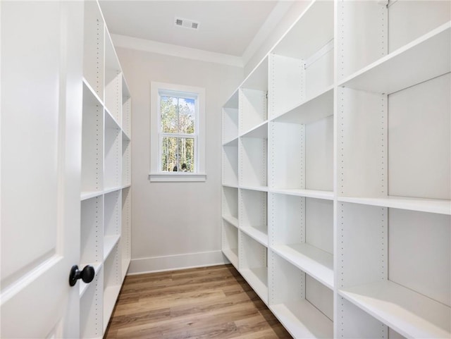 walk in closet with wood-type flooring