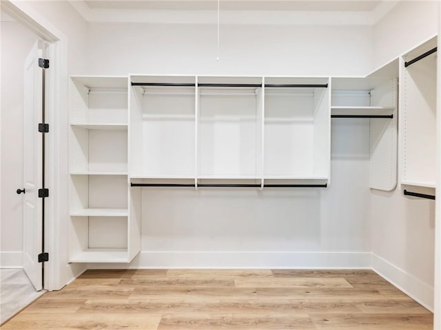 walk in closet featuring wood-type flooring