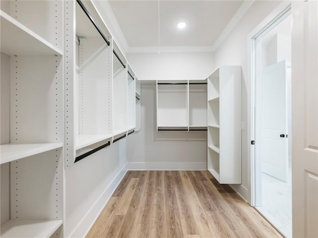 walk in closet featuring hardwood / wood-style flooring