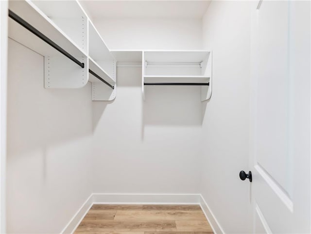 spacious closet with light wood-type flooring