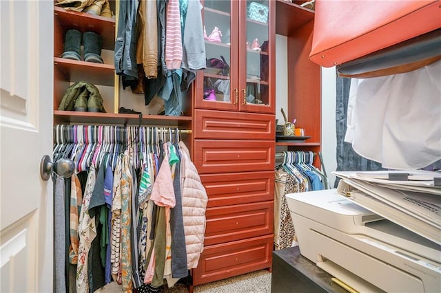 view of spacious closet